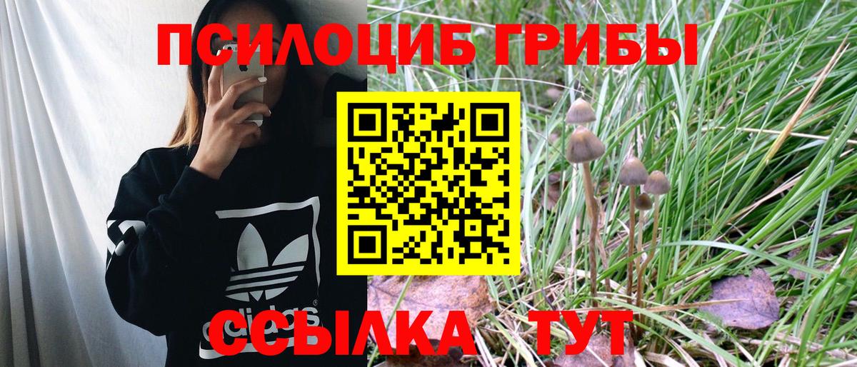 Полысаево  Галлюциногенные грибы Cubensis  Вход с VPN 